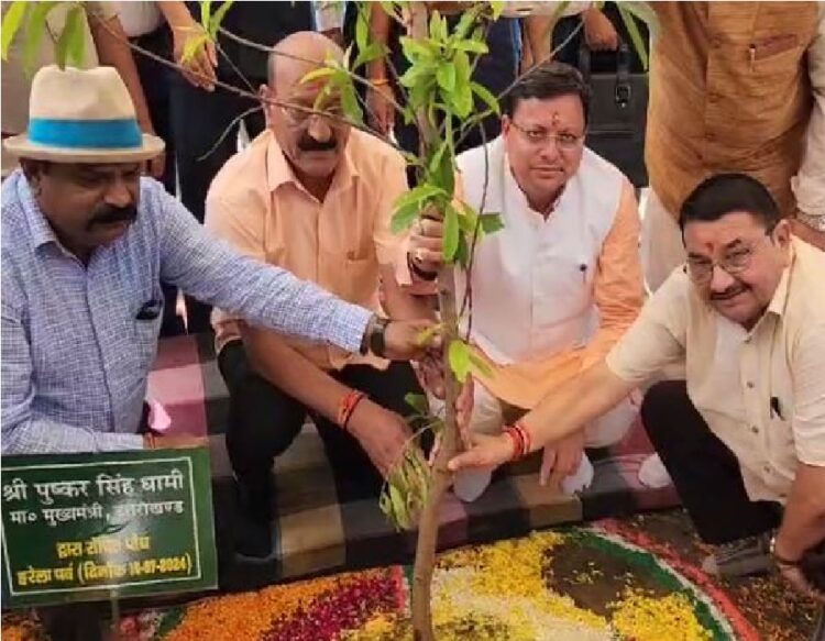 CM Dhami Planting Tree