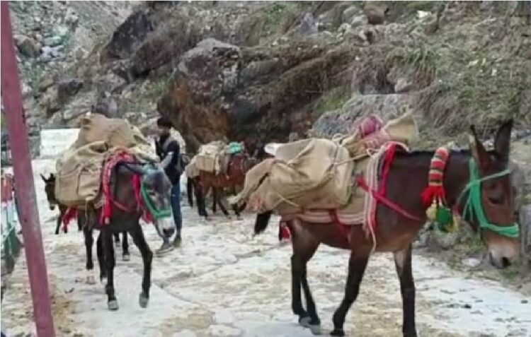 Kedarnath Dham Route