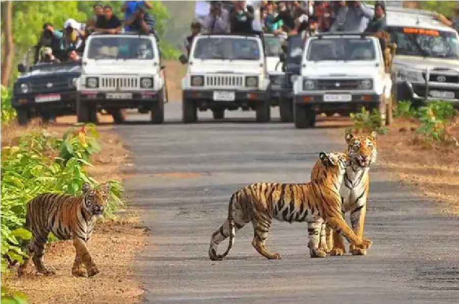 Jim Corbett National park