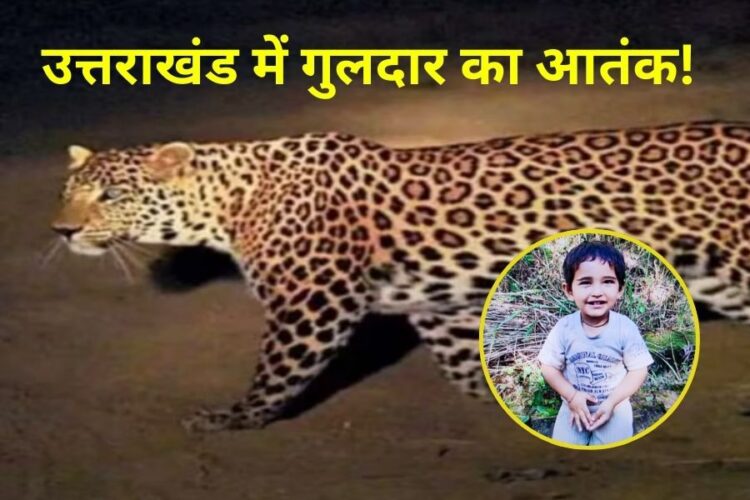 Uttarakhand Leopard Attack