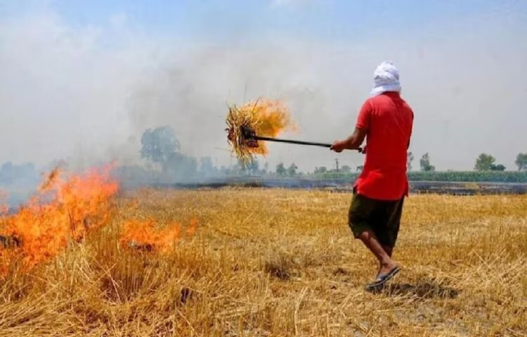 Fine For Stubble Burning