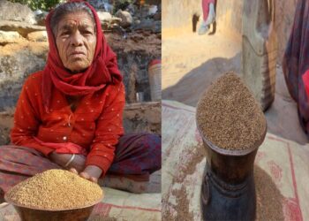 Uttarakhand Millet (Superfood