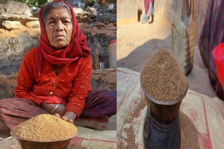 Uttarakhand Millet (Superfood