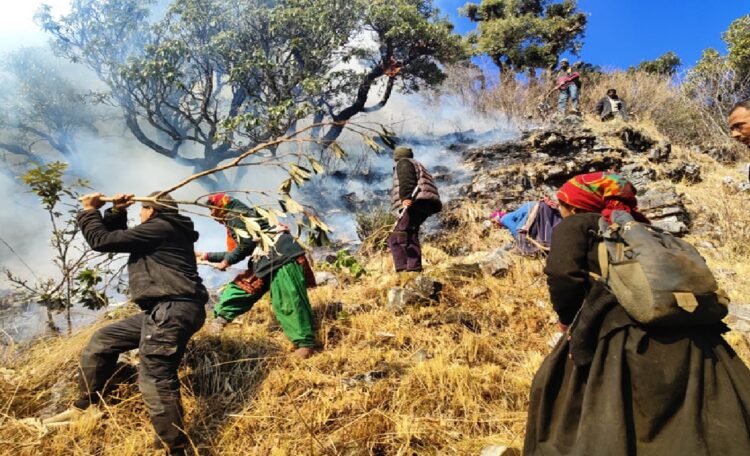 Chamoli Forest Fire