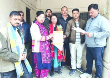 Haridwar Chinese Manjha