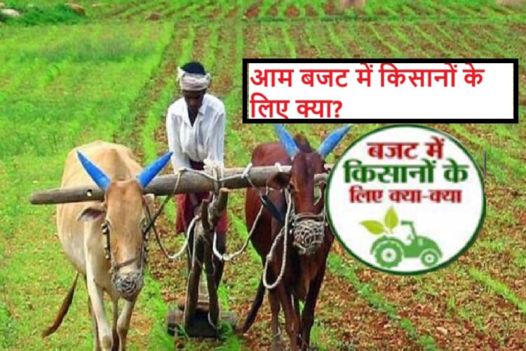 Union Budget 2025 Farmers