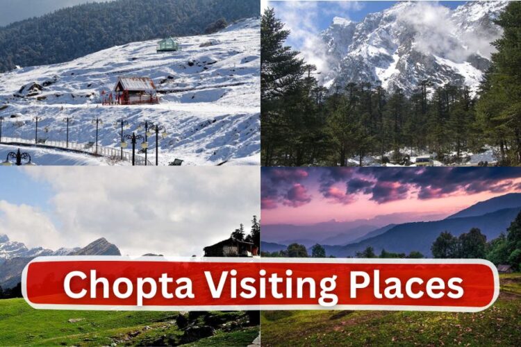 चोपता में एक्प्लोर करें ये खूबसूरत जगह, सैलानी करते हैं पसंद