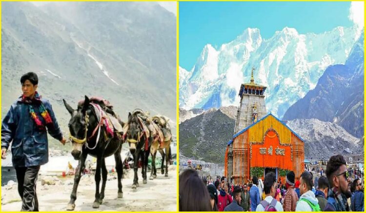 यात्रा के दौराक कई घोड़े खच्चरों की मौत, सराकार ने लिया बड़ा फैसला