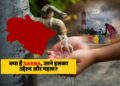 उत्तराखंड में SARRA के तहत 992 जलाशयों को मिला नया जीवन