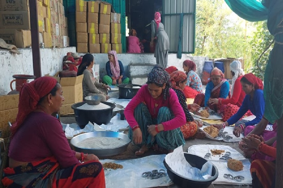 Uttarakhand Women Working Groups